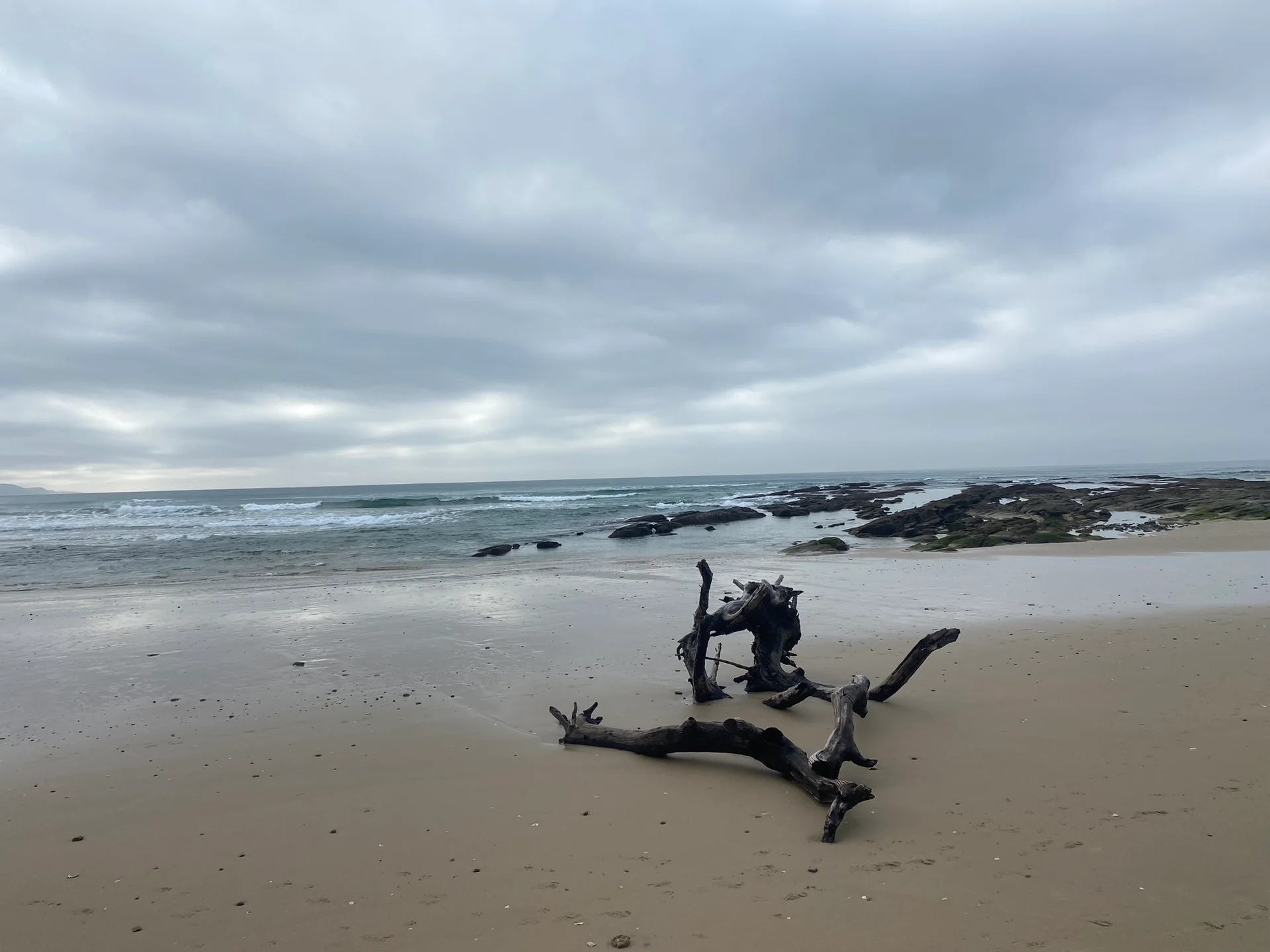 Driftwood that inspired Schafli Manor interior design